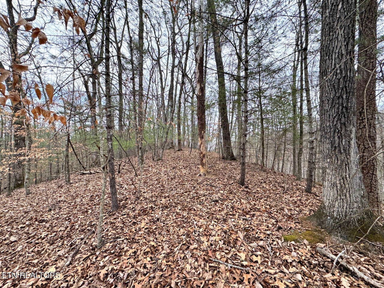 6 - 520 Jonny Carrier Hollow Rd, Bluff City, TN 37618, Bluff City