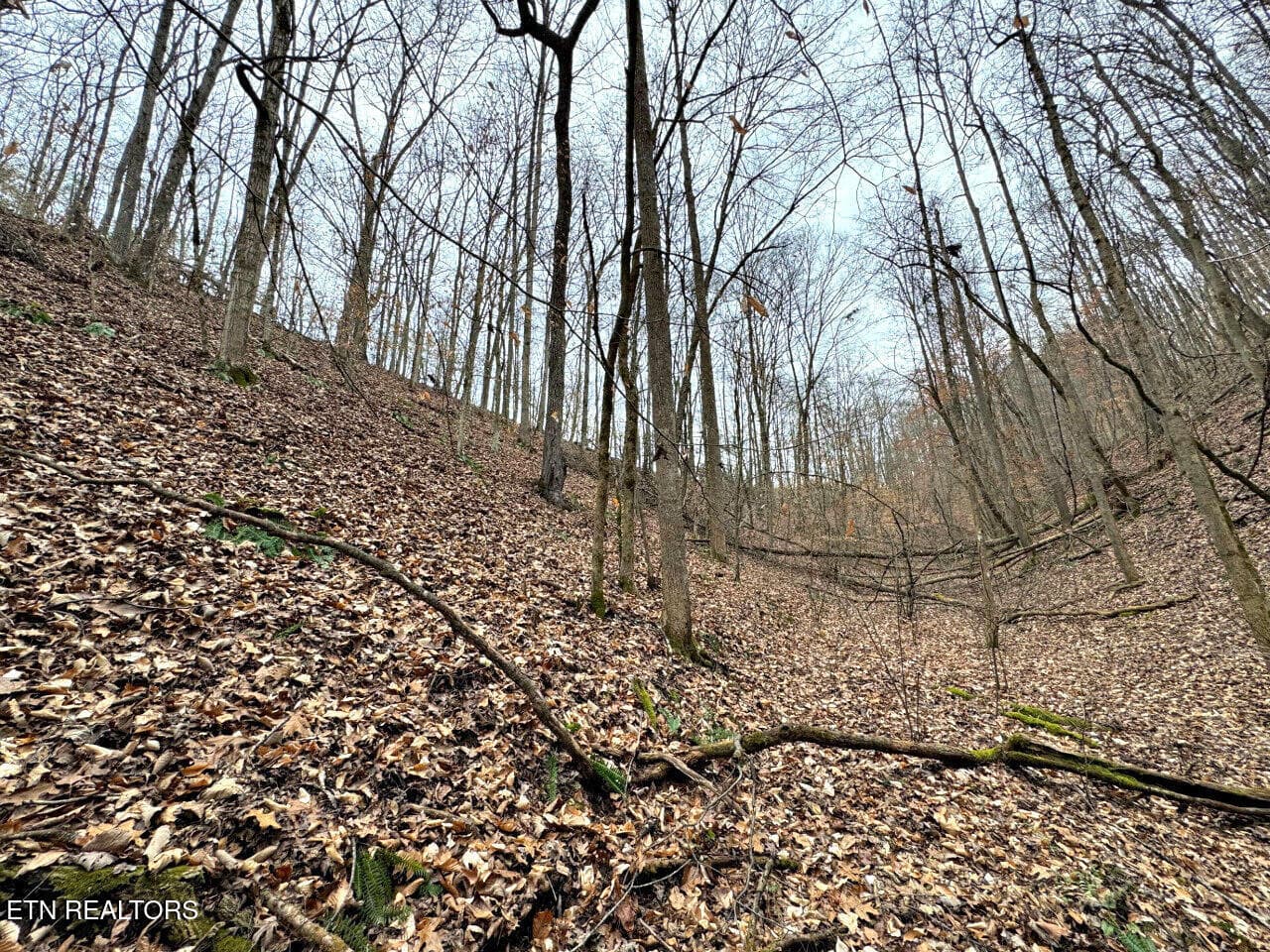 9 - 520 Jonny Carrier Hollow Rd, Bluff City, TN 37618, Bluff City