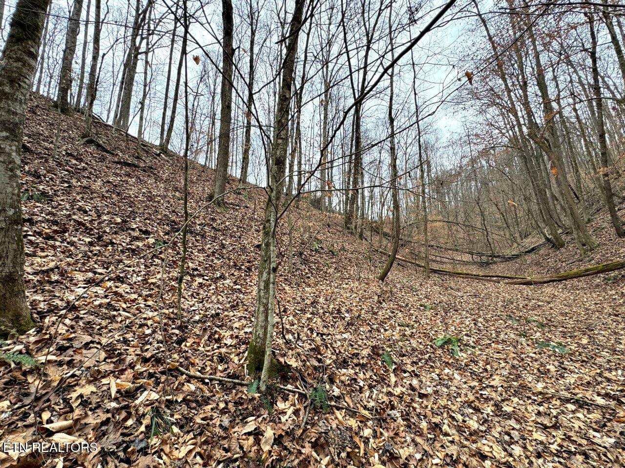 10 - 520 Jonny Carrier Hollow Rd, Bluff City, TN 37618, Bluff City