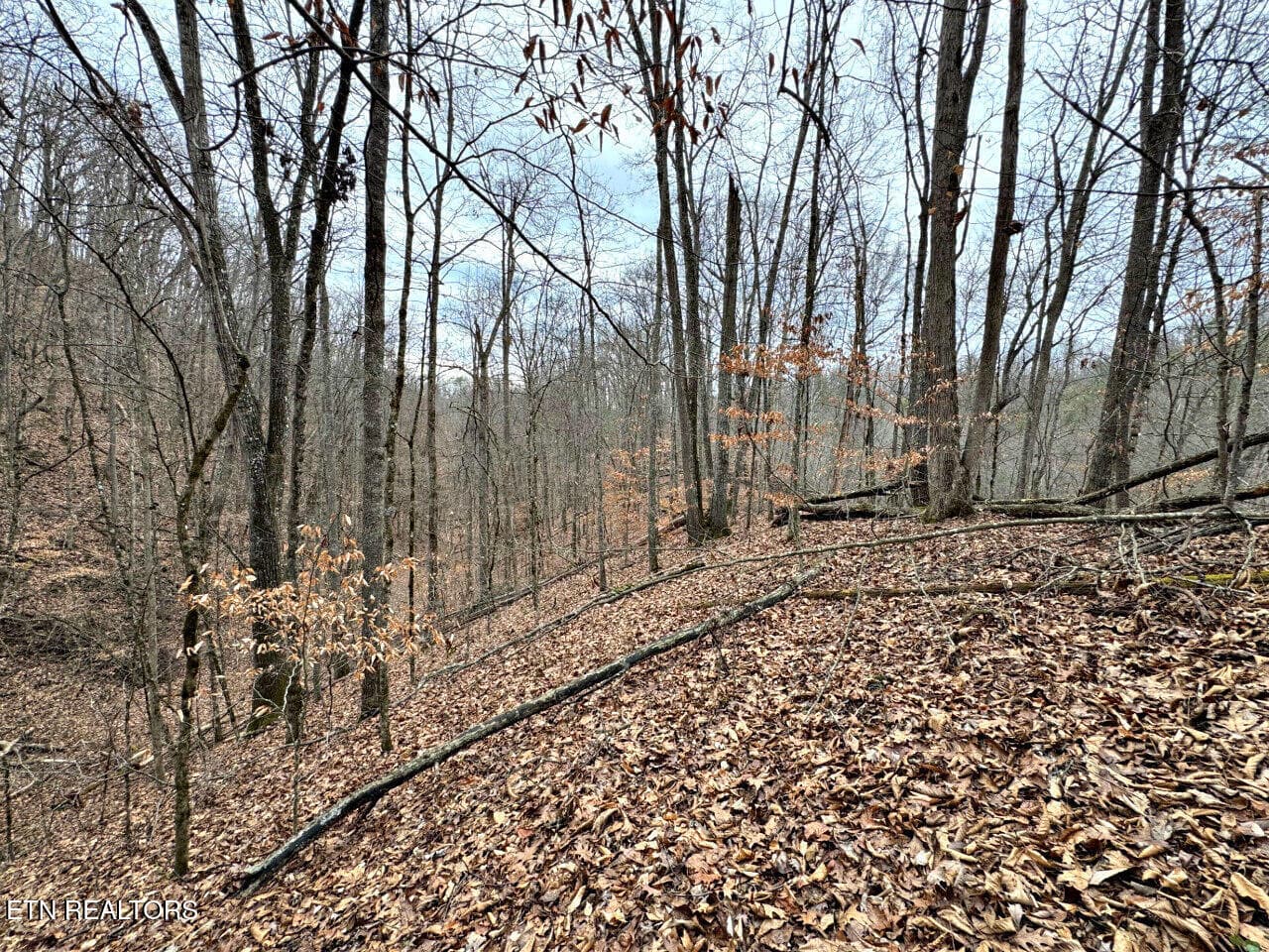 12 - 520 Jonny Carrier Hollow Rd, Bluff City, TN 37618, Bluff City