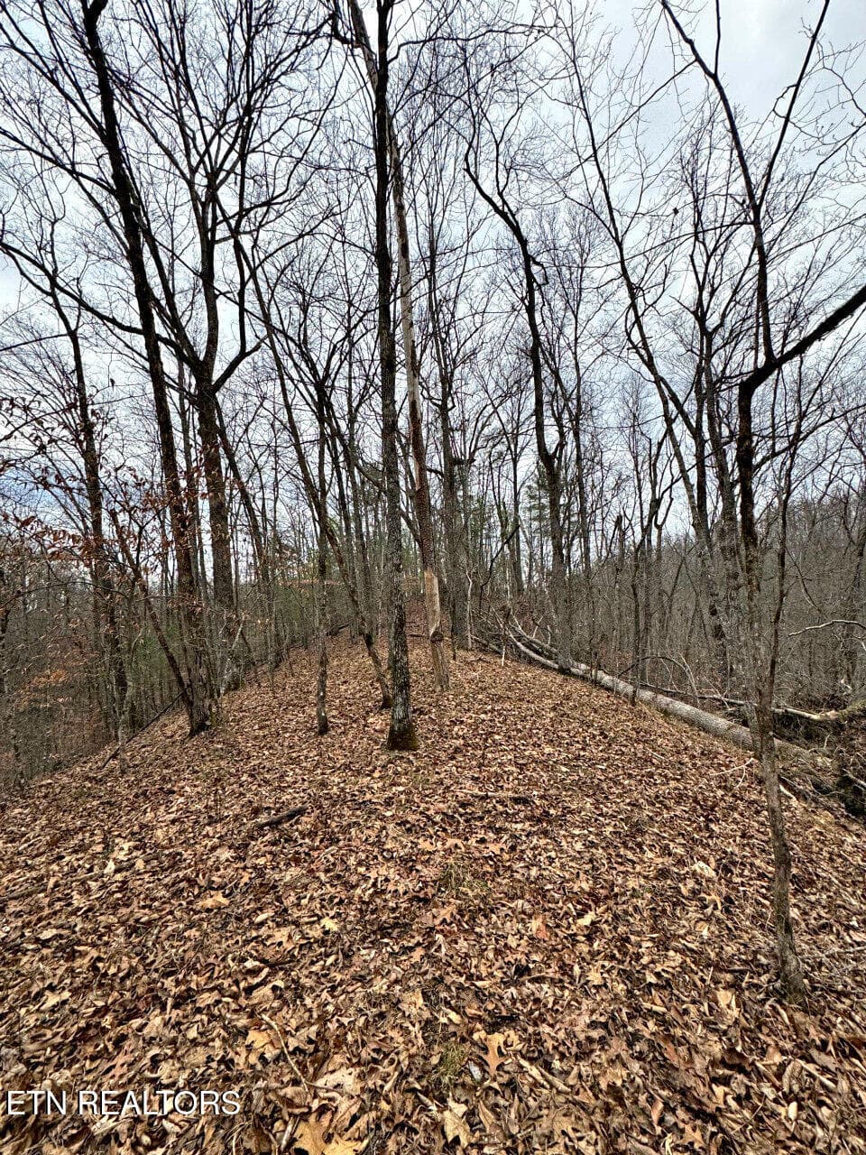 13 - 520 Jonny Carrier Hollow Rd, Bluff City, TN 37618, Bluff City