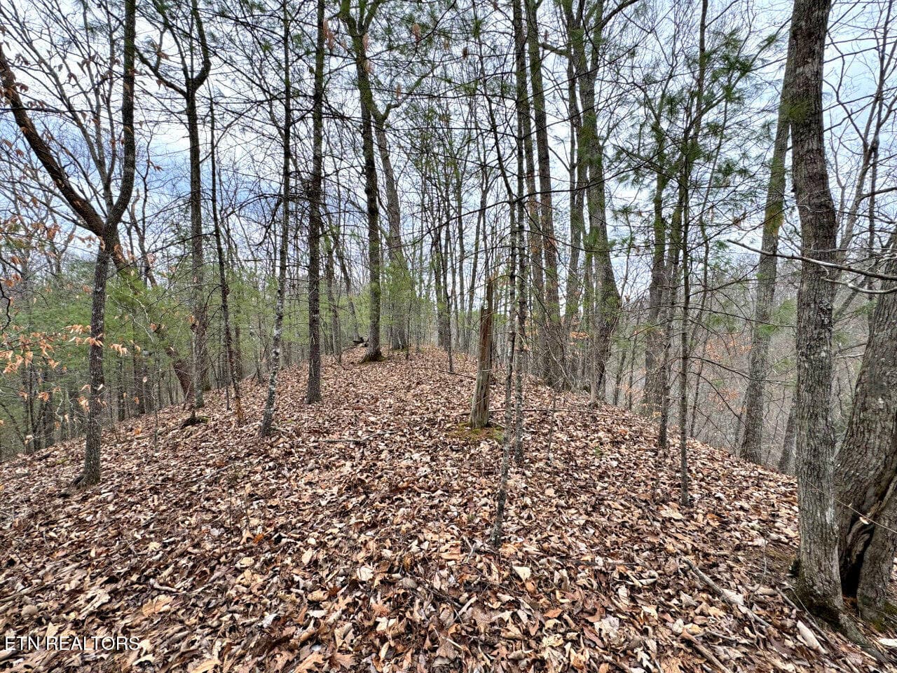14 - 520 Jonny Carrier Hollow Rd, Bluff City, TN 37618, Bluff City