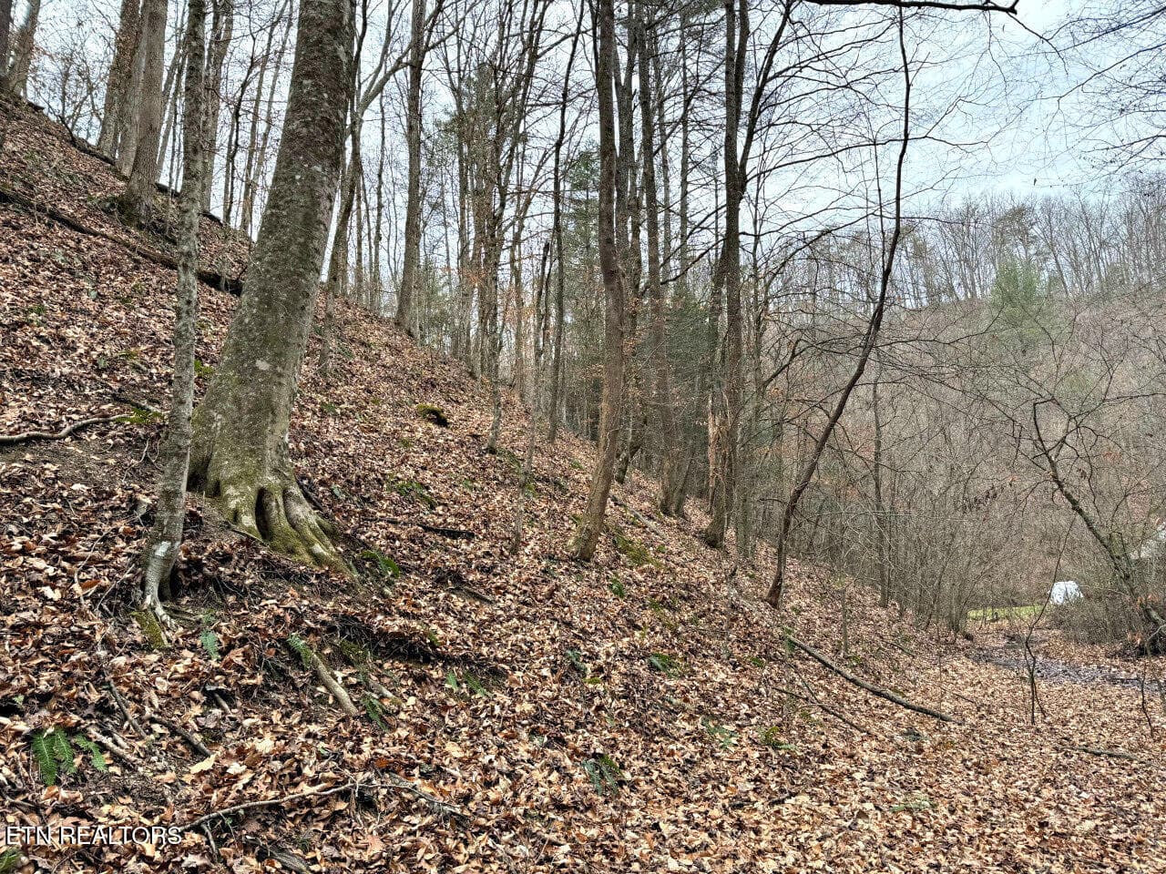 15 - 520 Jonny Carrier Hollow Rd, Bluff City, TN 37618, Bluff City