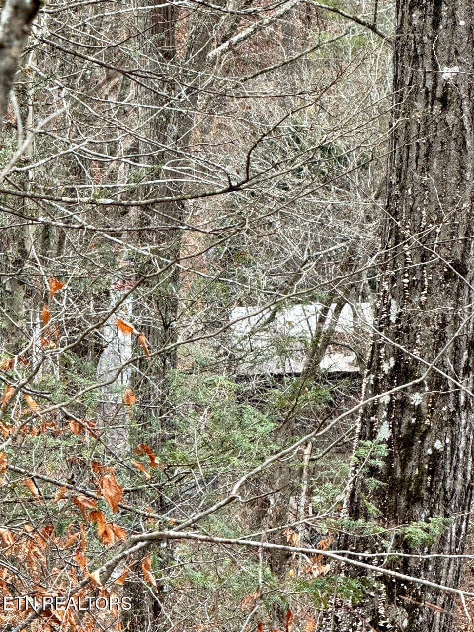 16 - 520 Jonny Carrier Hollow Rd, Bluff City, TN 37618, Bluff City