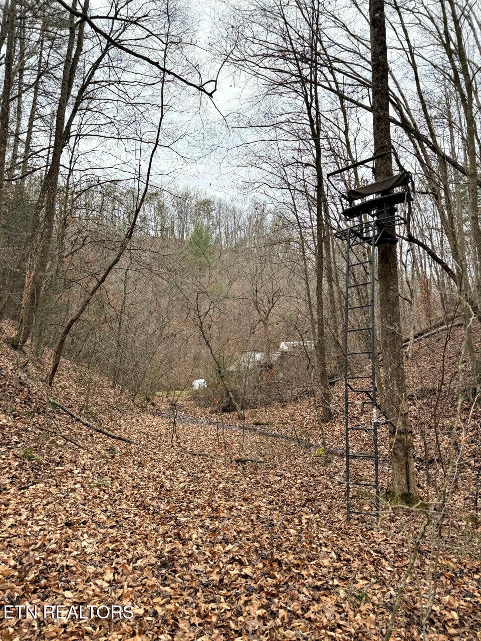 17 - 520 Jonny Carrier Hollow Rd, Bluff City, TN 37618, Bluff City