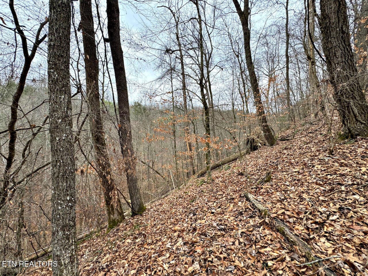 18 - 520 Jonny Carrier Hollow Rd, Bluff City, TN 37618, Bluff City
