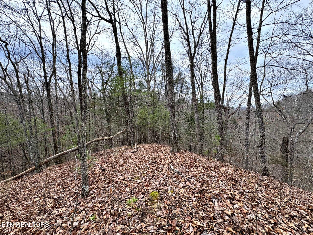 19 - 520 Jonny Carrier Hollow Rd, Bluff City, TN 37618, Bluff City