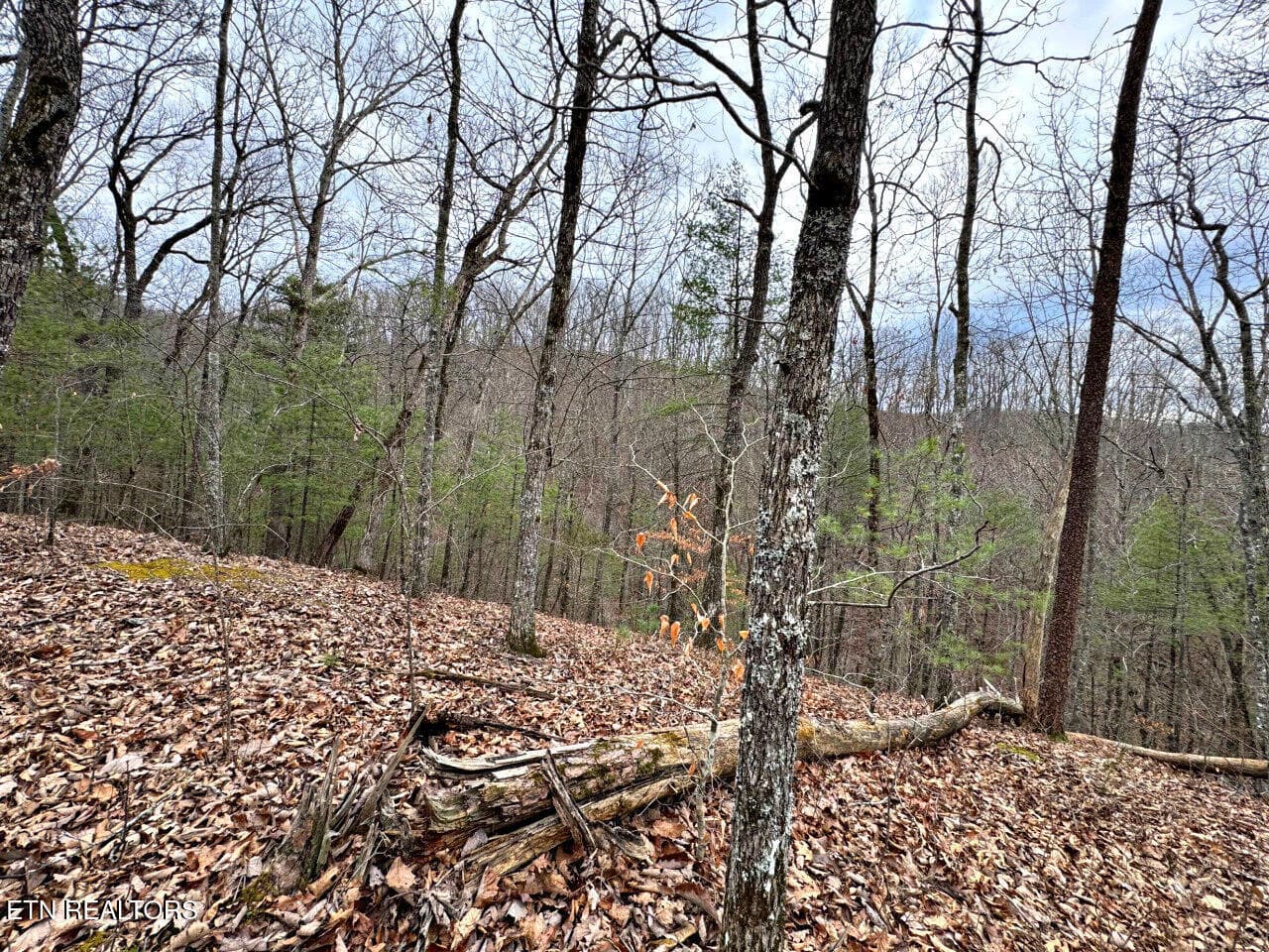 20 - 520 Jonny Carrier Hollow Rd, Bluff City, TN 37618, Bluff City