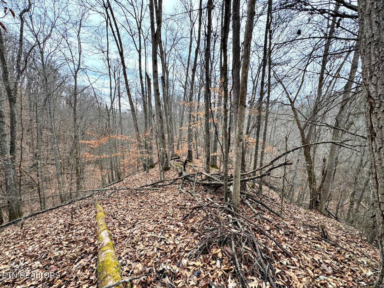 22 - 520 Jonny Carrier Hollow Rd, Bluff City, TN 37618, Bluff City