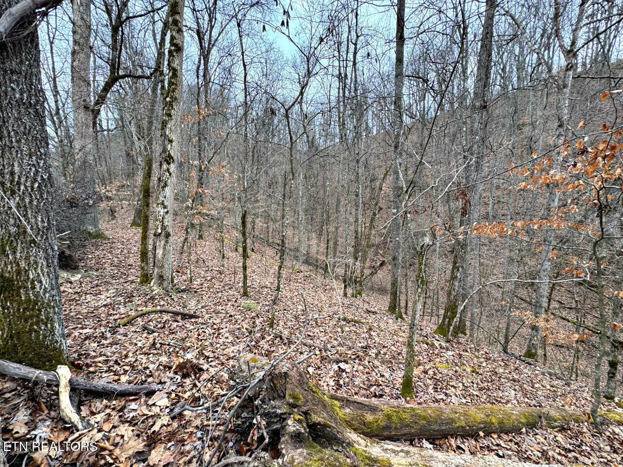 23 - 520 Jonny Carrier Hollow Rd, Bluff City, TN 37618, Bluff City