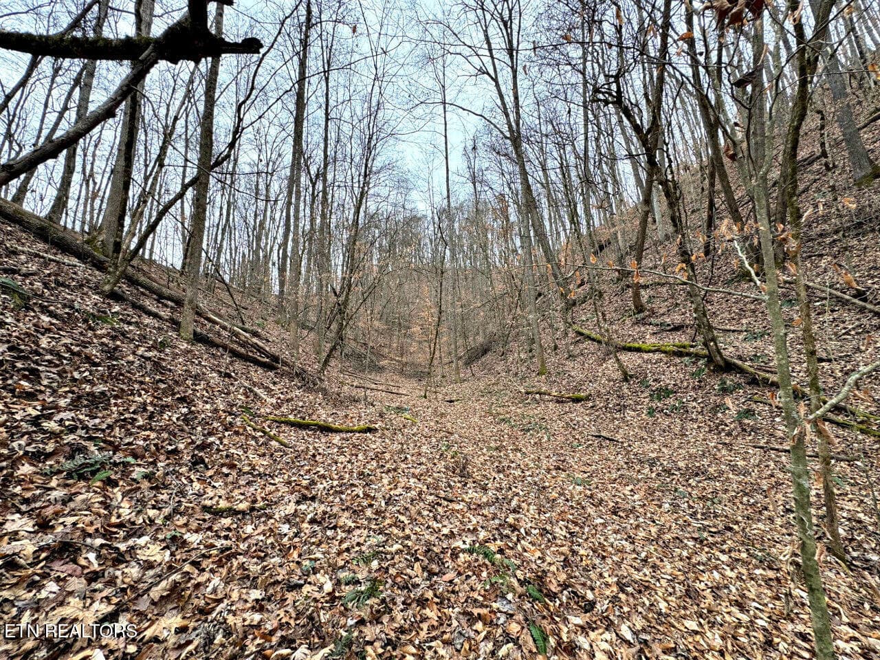 24 - 520 Jonny Carrier Hollow Rd, Bluff City, TN 37618, Bluff City