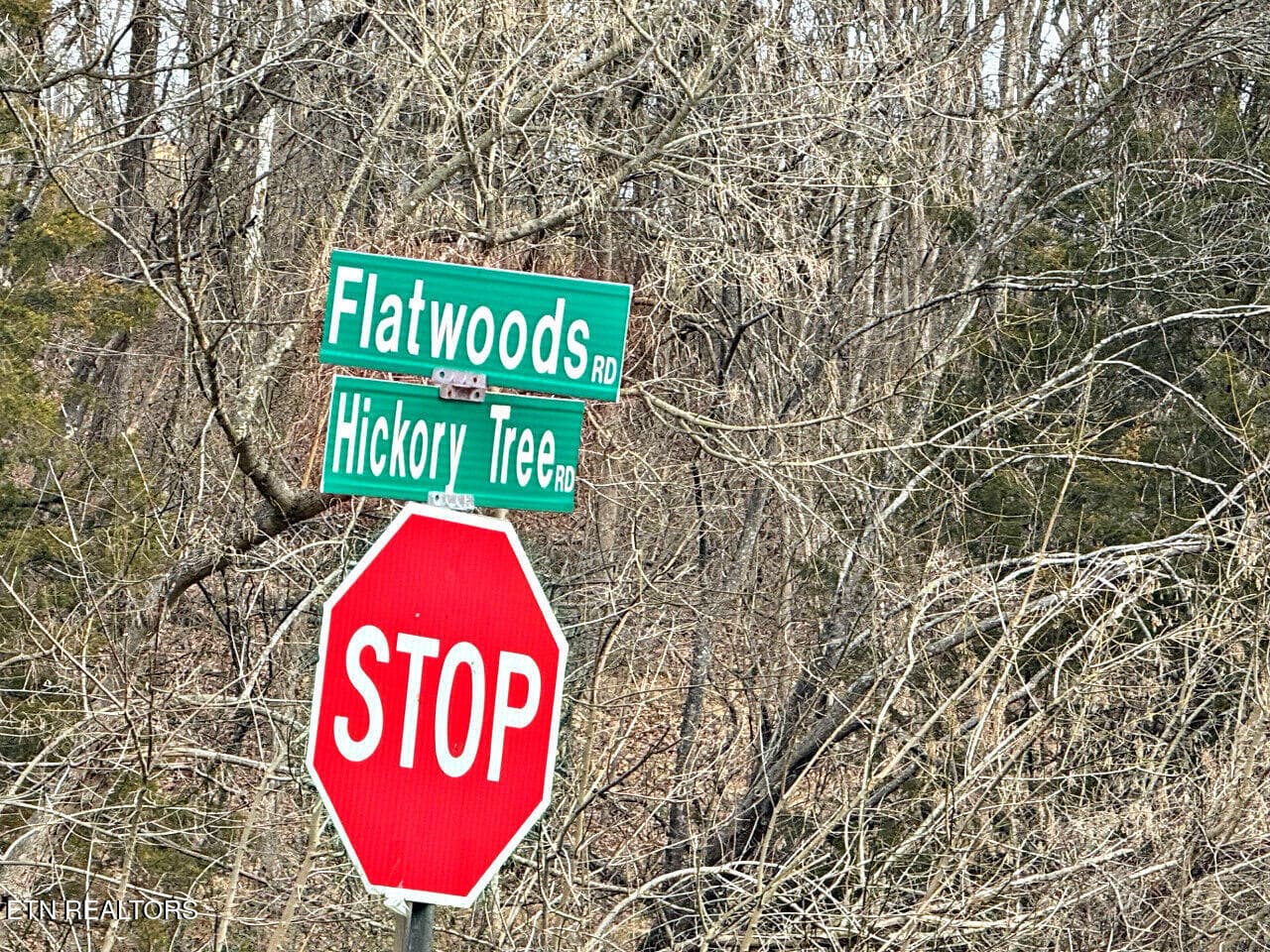 25 - 520 Jonny Carrier Hollow Rd, Bluff City, TN 37618, Bluff City