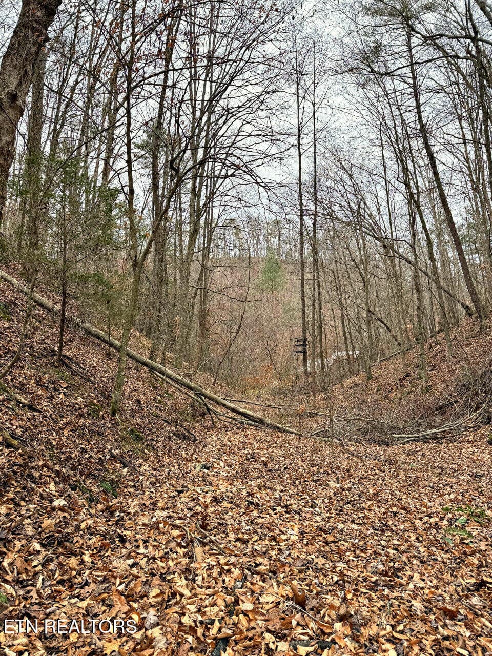 28 - 520 Jonny Carrier Hollow Rd, Bluff City, TN 37618, Bluff City