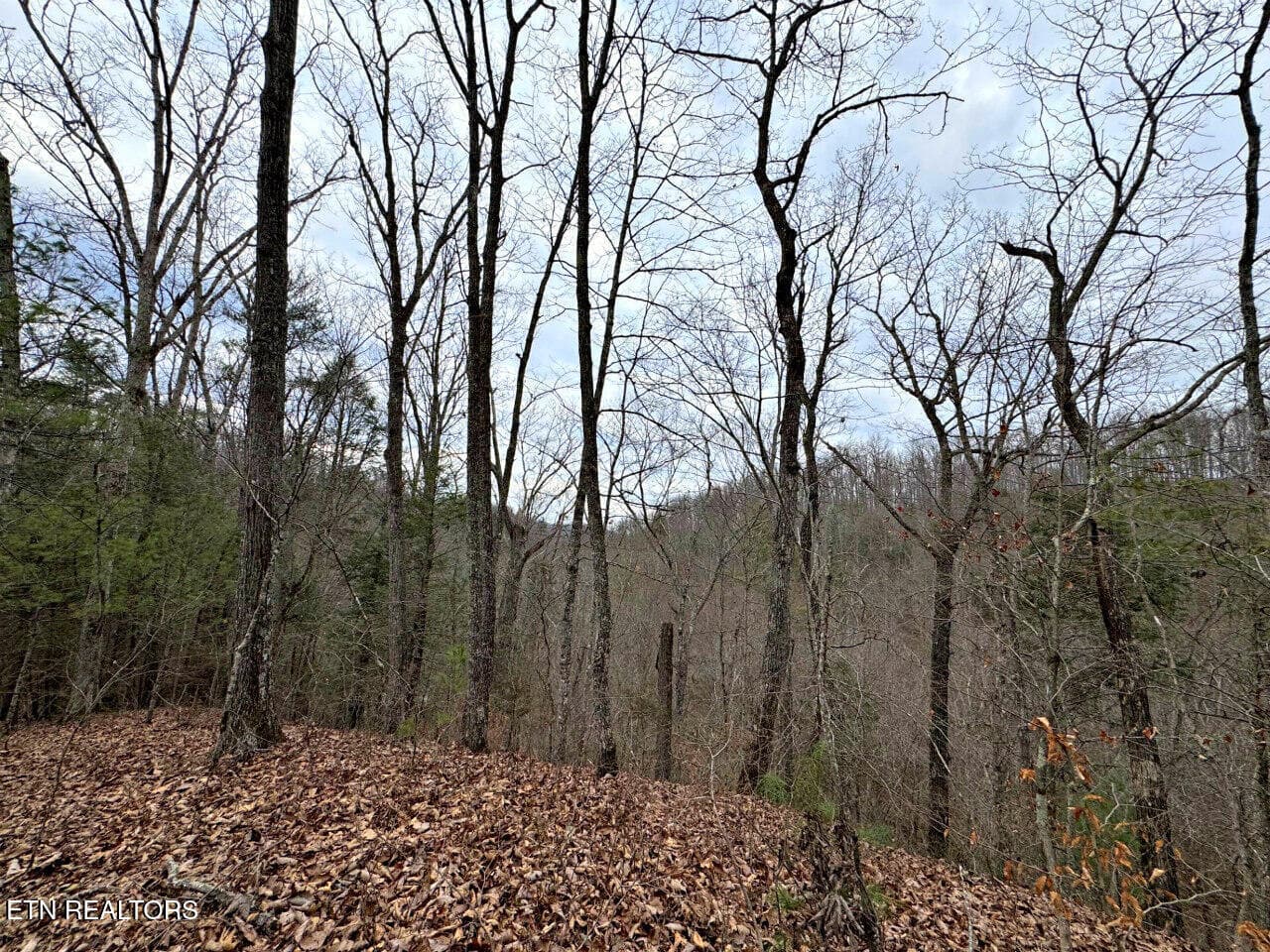 29 - 520 Jonny Carrier Hollow Rd, Bluff City, TN 37618, Bluff City