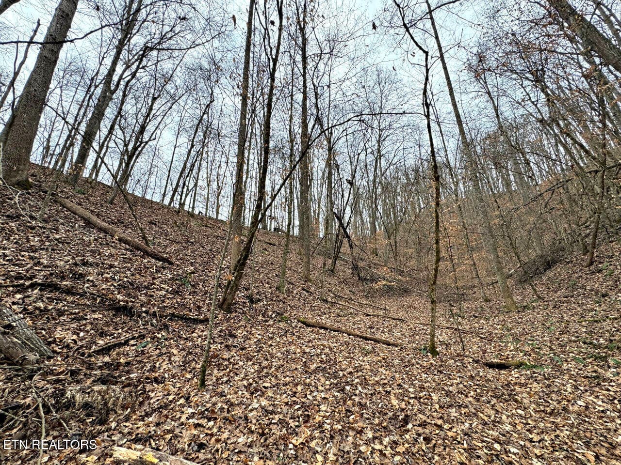 31 - 520 Jonny Carrier Hollow Rd, Bluff City, TN 37618, Bluff City