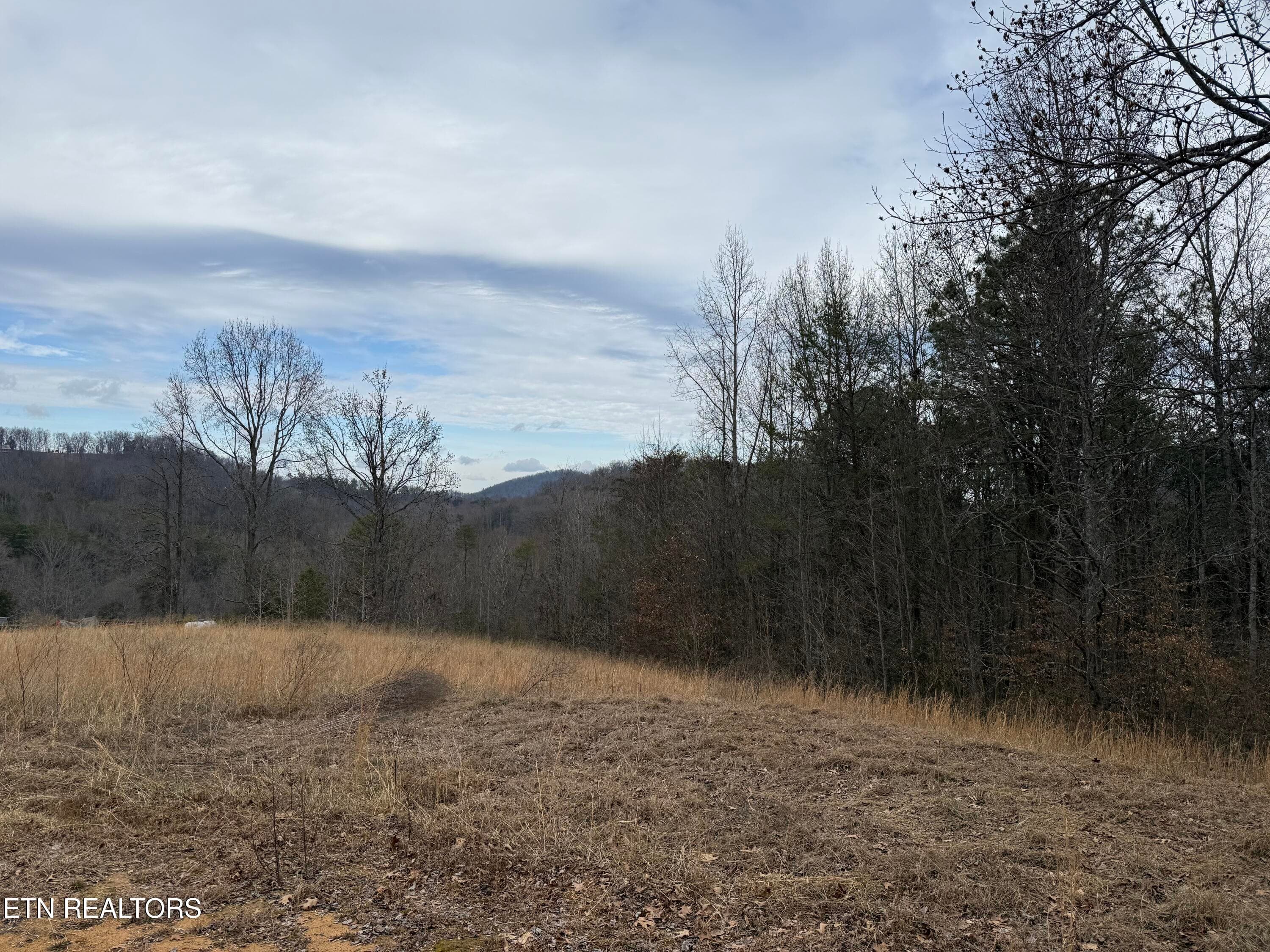 IMG_6736 - 2675 Timberlake Drive, Cosby, TN 37722