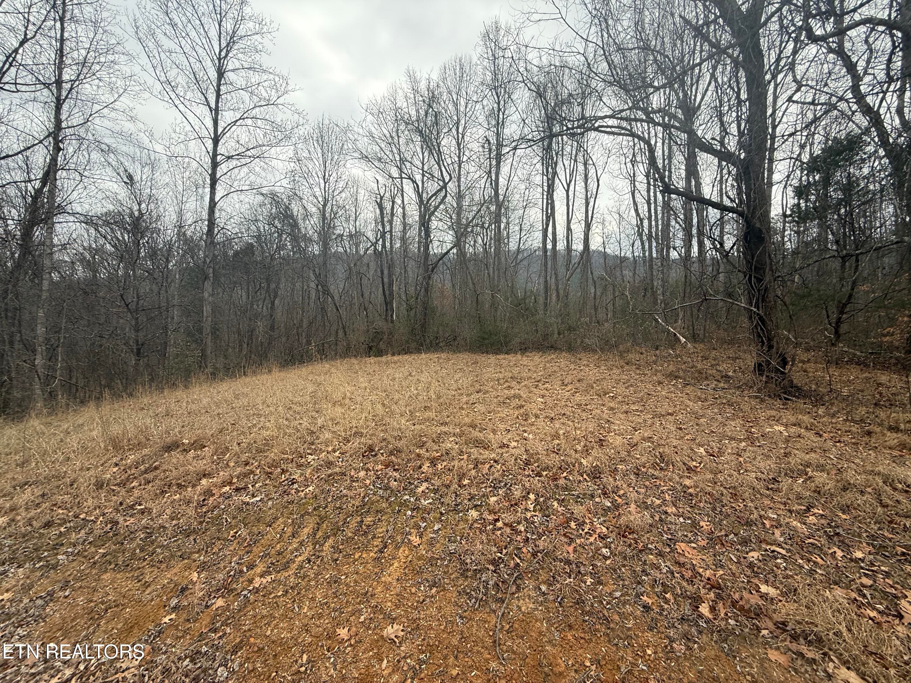 IMG_6737 - 2675 Timberlake Drive, Cosby, TN 37722