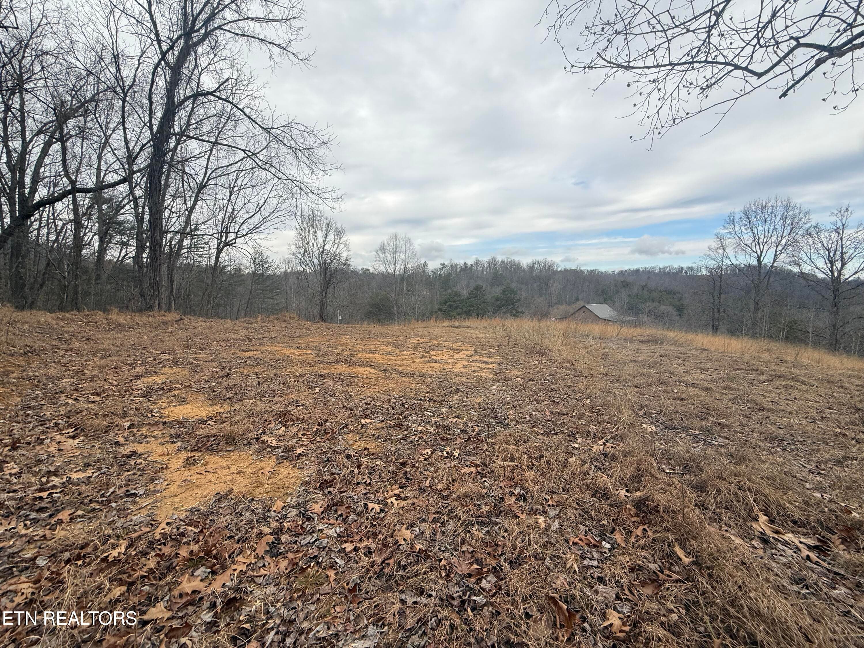 IMG_6742 - 2675 Timberlake Drive, Cosby, TN 37722