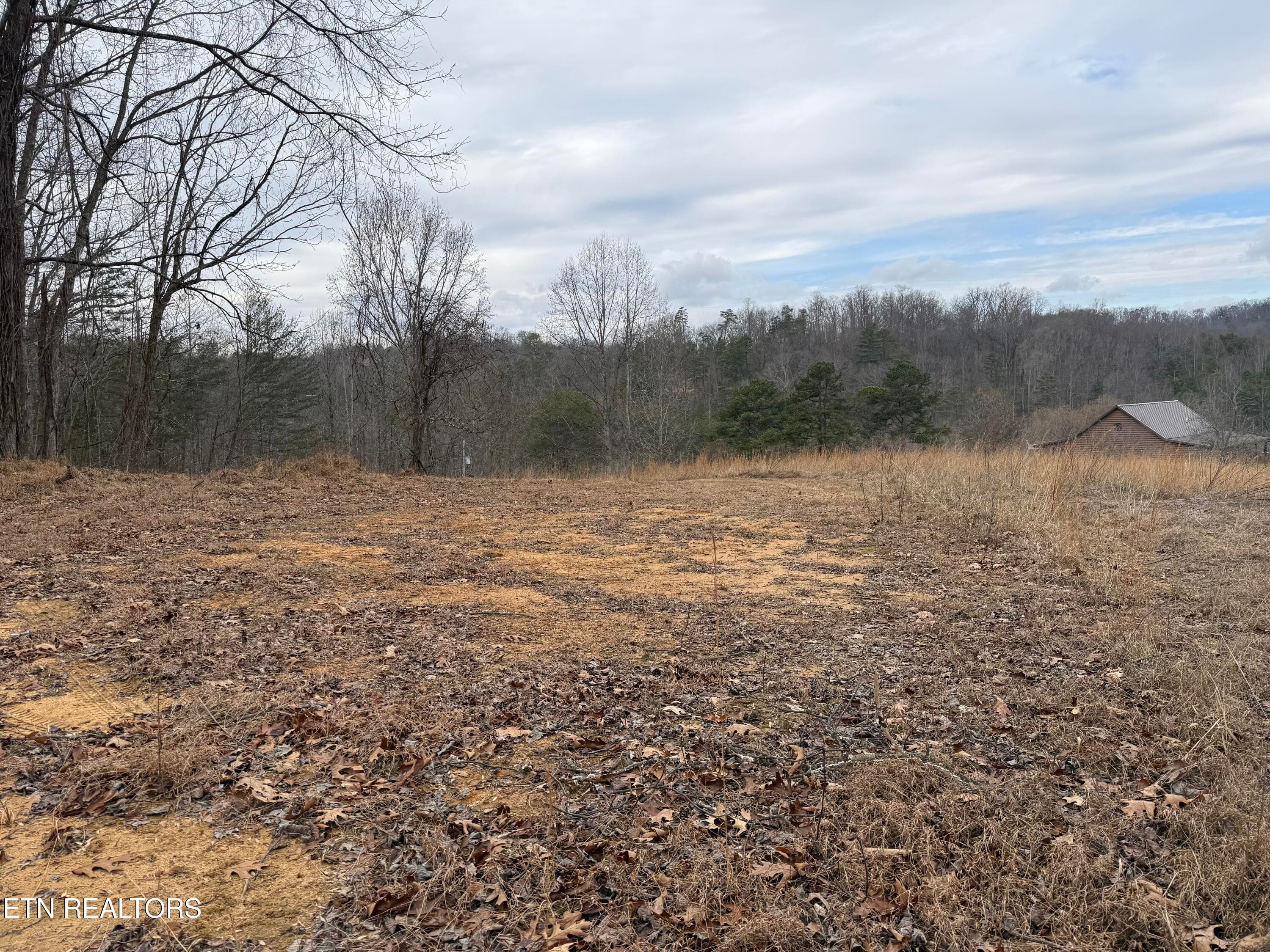 IMG_6744 - 2675 Timberlake Drive, Cosby, TN 37722