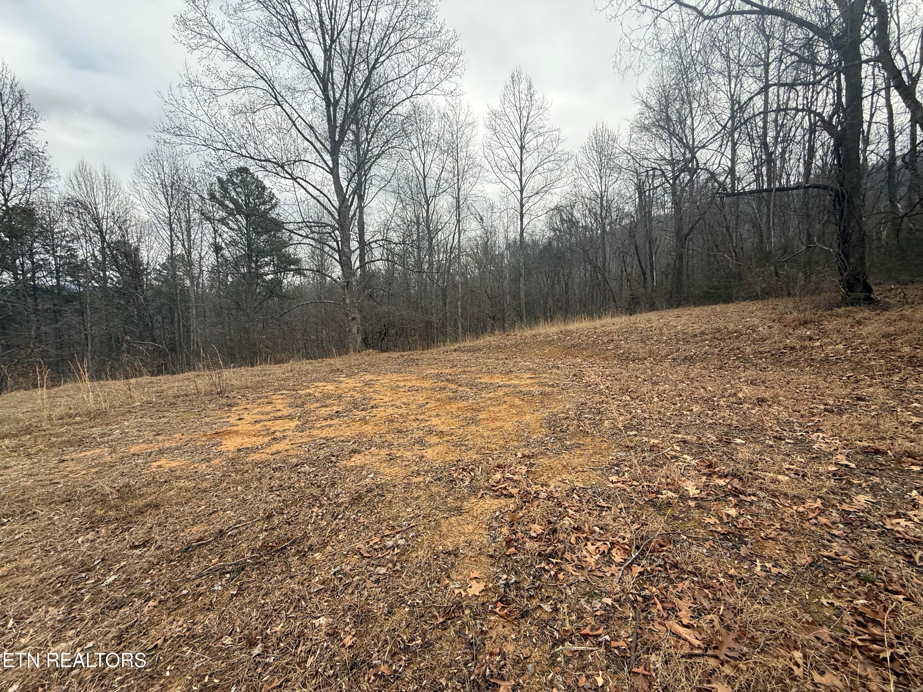 IMG_6745 - 2675 Timberlake Drive, Cosby, TN 37722