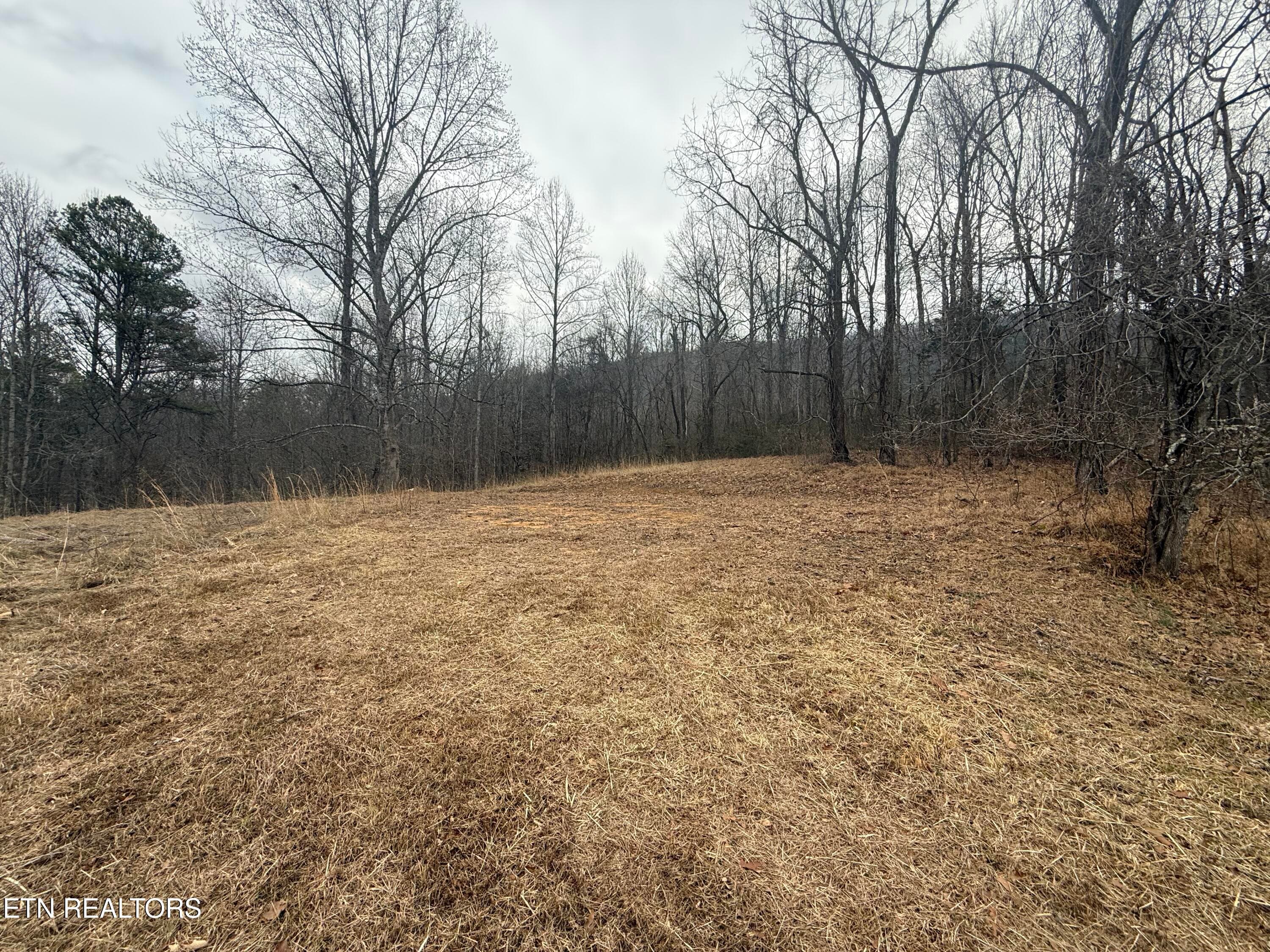 IMG_6749 - 2675 Timberlake Drive, Cosby, TN 37722