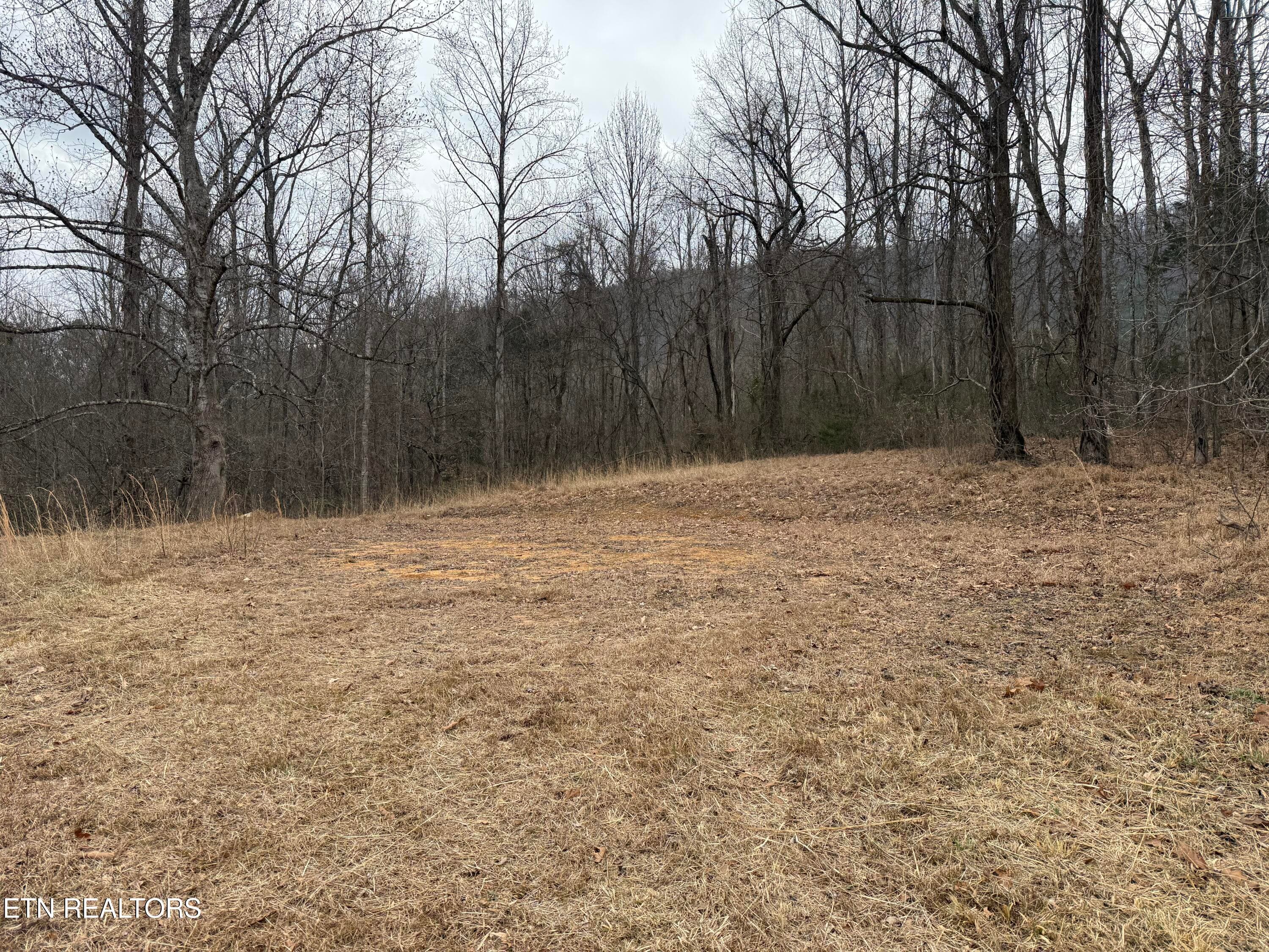 IMG_6750 - 2675 Timberlake Drive, Cosby, TN 37722