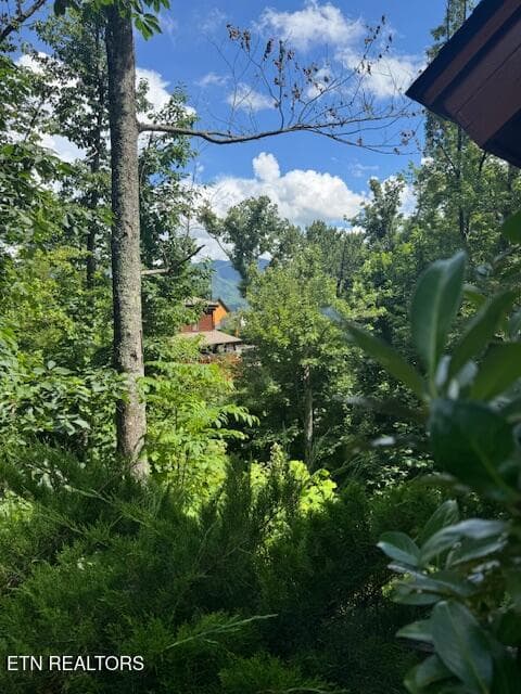 Outside pic from Cabin - 917 Pine Cone Way, Gatlinburg, TN 37738, Gatlinburg
