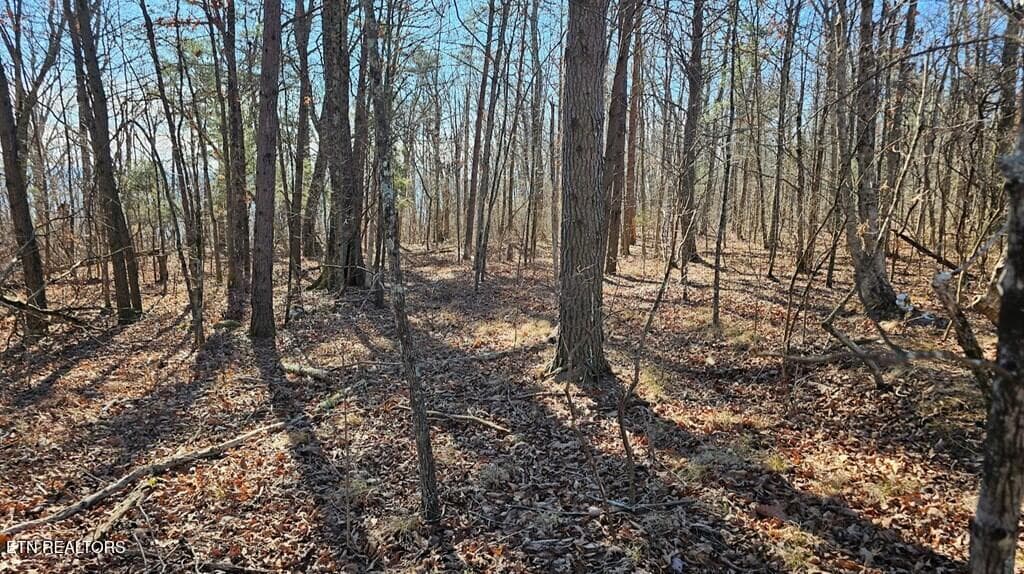241567_11 - 46A Gray Rock View, Pikeville, TN 37367