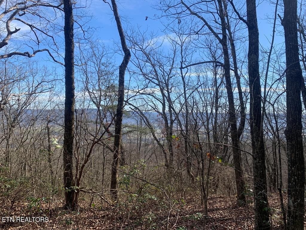 241567_15 - 46A Gray Rock View, Pikeville, TN 37367