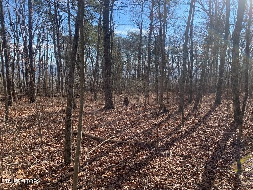 241569_5 - 47A Gray Rock View, Pikeville, TN 37367