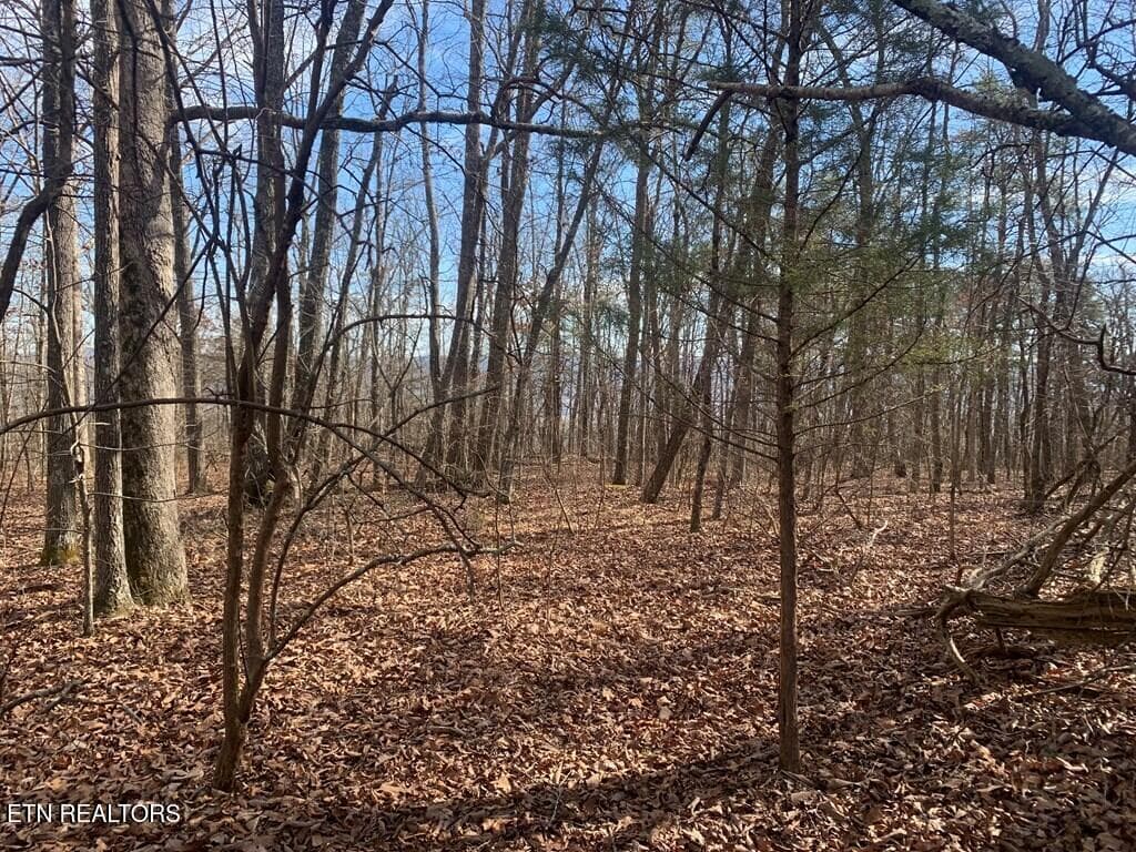 241569_6 - 47A Gray Rock View, Pikeville, TN 37367