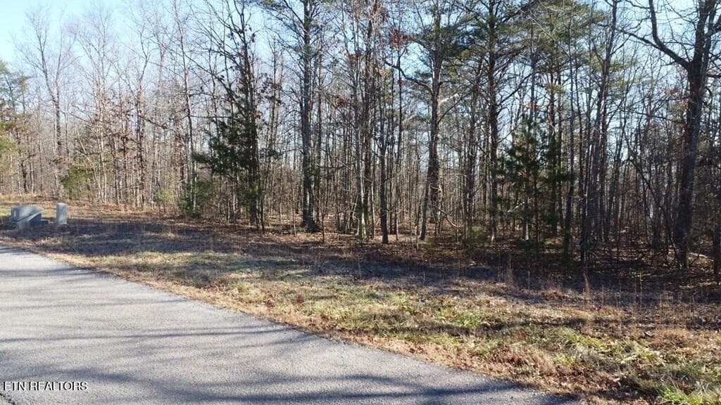 241569_13 - 47A Gray Rock View, Pikeville, TN 37367