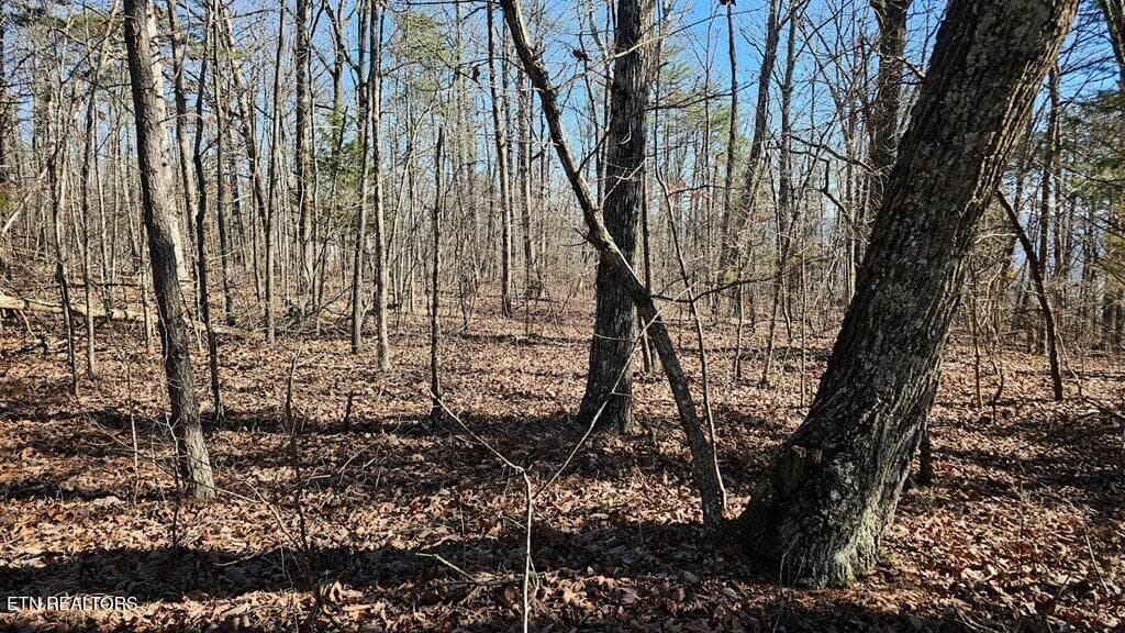 241569_15 - 47A Gray Rock View, Pikeville, TN 37367