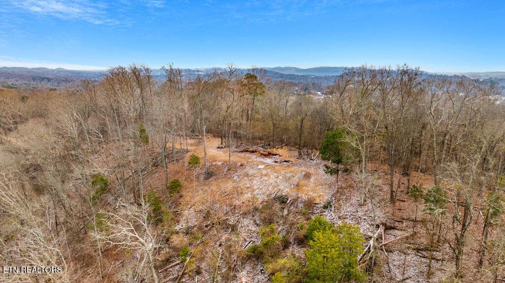 View from Top Homesite - 4129 Bear Hollow Loop, Louisville, TN 37777