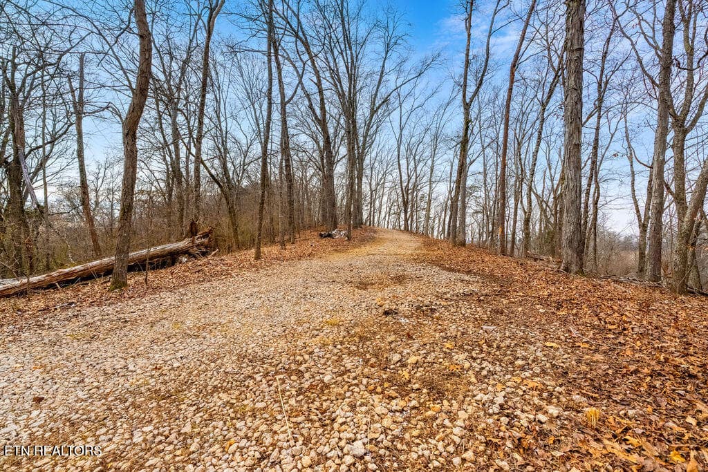 Driveway to Top Homesite - 4129 Bear Hollow Loop, Louisville, TN 37777