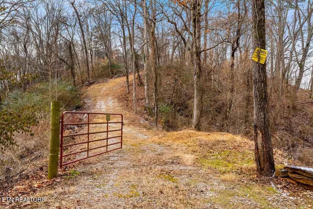 Entrance to Top Homesite - 4129 Bear Hollow Loop, Louisville, TN 37777