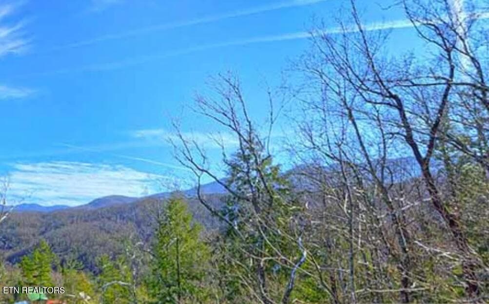 Screenshot 2026-02-03 133219 - 1779 Mountain Shadows Way, Gatlinburg, TN 37738, Gatlinburg