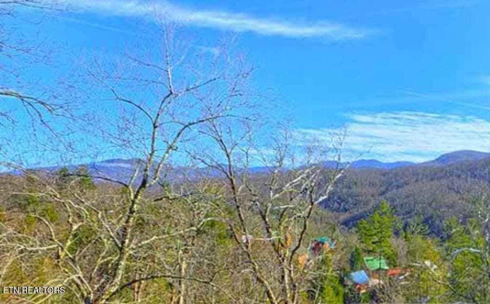 Screenshot 2026-02-03 133850 - 1779 Mountain Shadows Way, Gatlinburg, TN 37738, Gatlinburg