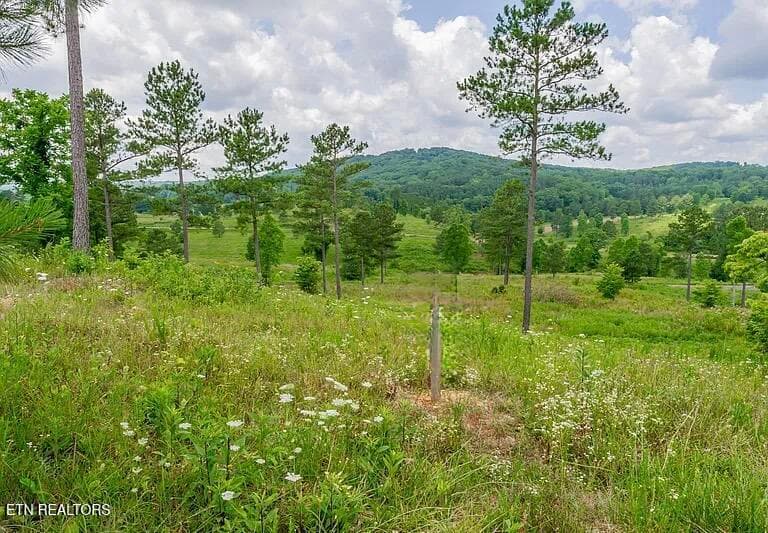 915 Eagle Nest Drive, Loudon, TN 37774