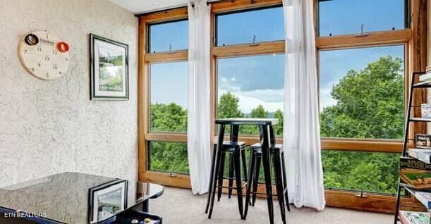 1130SV REC 1 - 1130 Ski View Drive UNIT 109, Gatlinburg, TN 37738, Gatlinburg