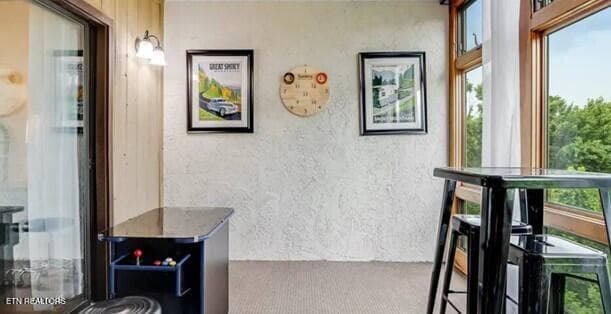 1130SV REC 2 - 1130 Ski View Drive UNIT 109, Gatlinburg, TN 37738, Gatlinburg
