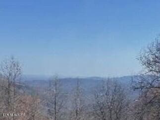 1130SV View 1a - 1130 Ski View Drive UNIT 109, Gatlinburg, TN 37738, Gatlinburg