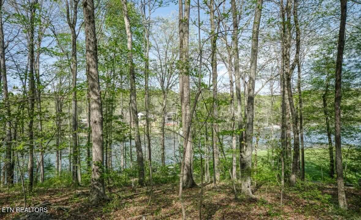 4b05c57a-49b4-48b4-9b40-12458a8d48e5 - 25 Claremont Circle, Crossville, TN 38558