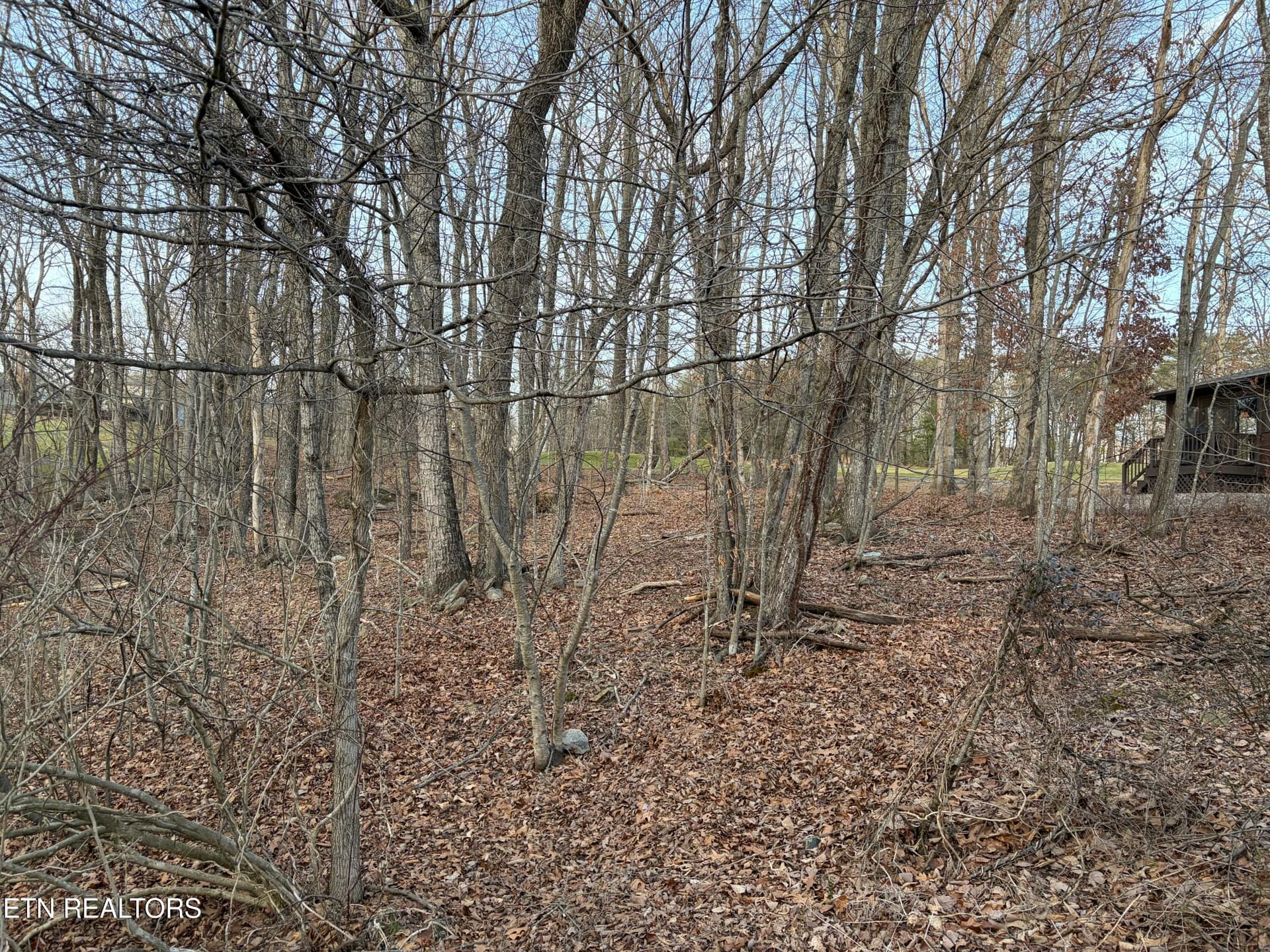 118 Baltusrol Rd, Fairfield Glade, TN 38558