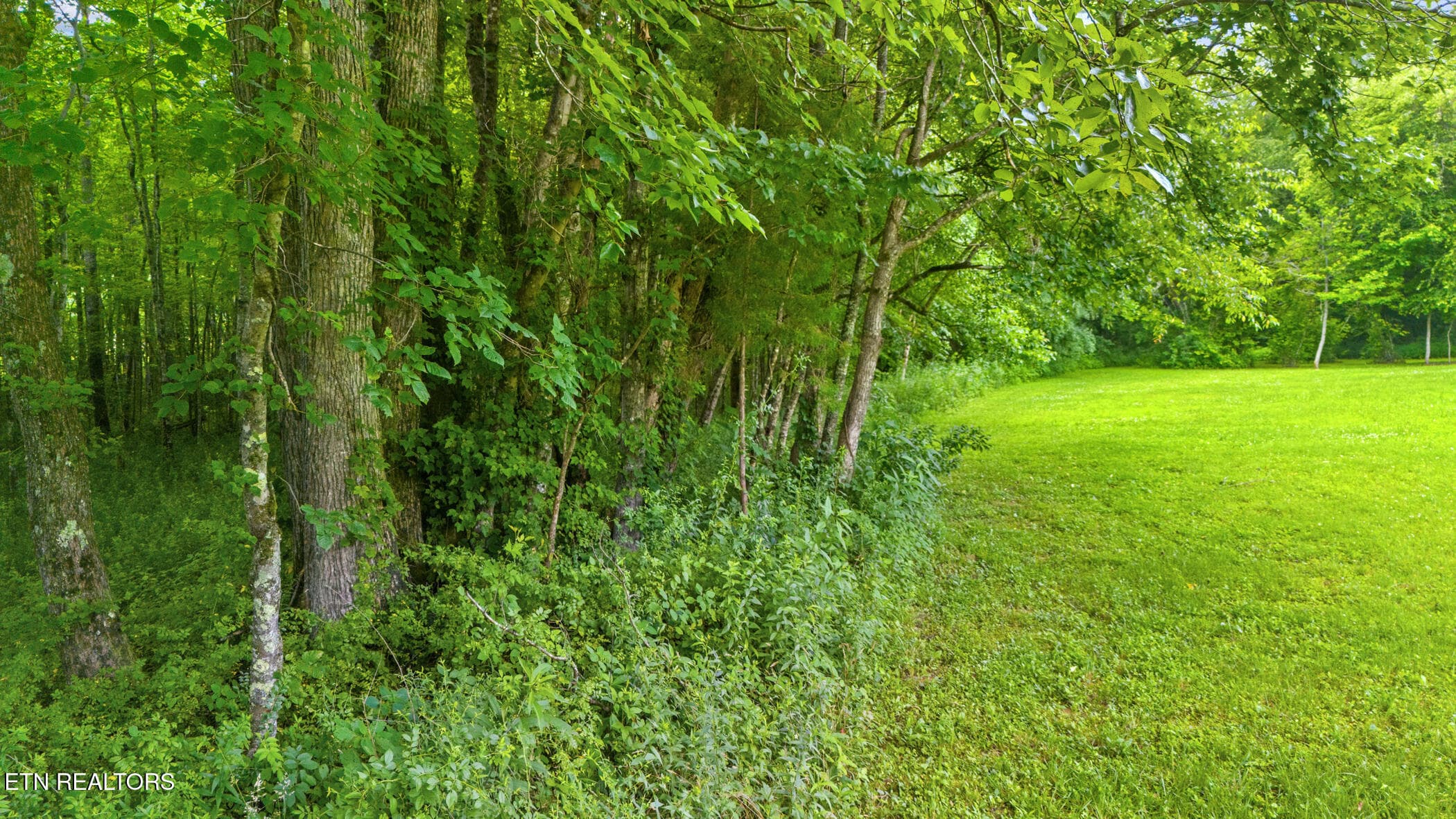 dji_20250627125320_0371_d - 3329 Stinking Creek Rd, Pioneer, TN 37847, Pioneer