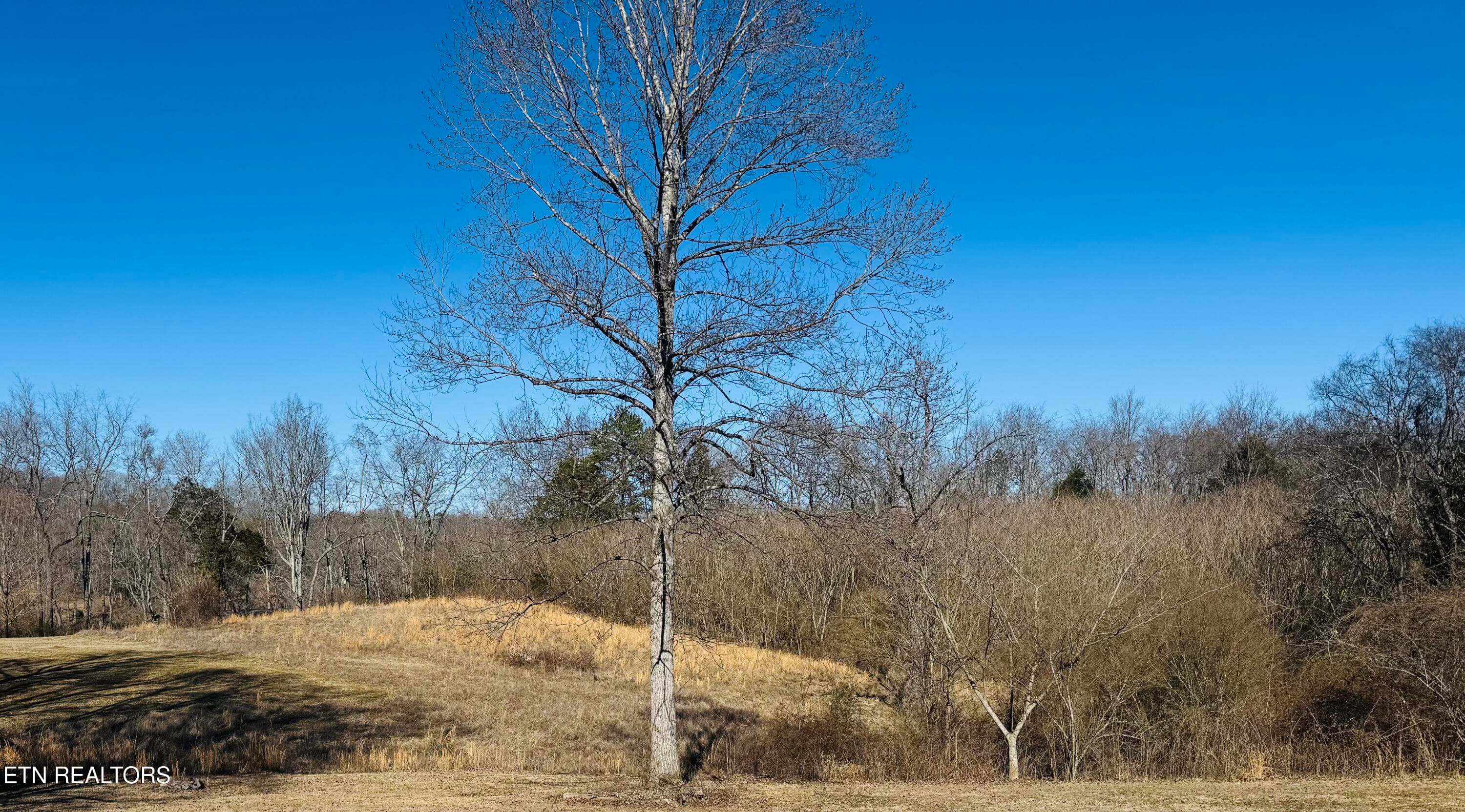 409 Carroll Hollow Rd, Clinton, TN 37716