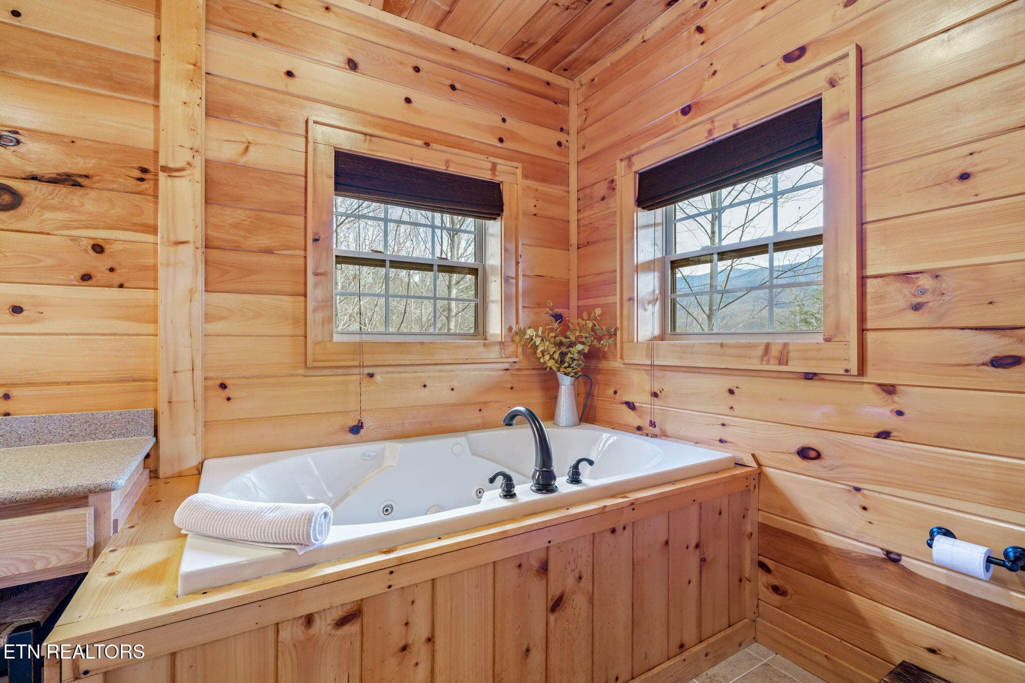 53-web-or-mls-206 Rodeo Drive-54 - 206 Rodeo Drive, Gatlinburg, TN 37738, Gatlinburg