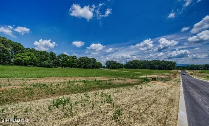LOT 9R 848 Sophie Drive, Greenback, TN 37742
