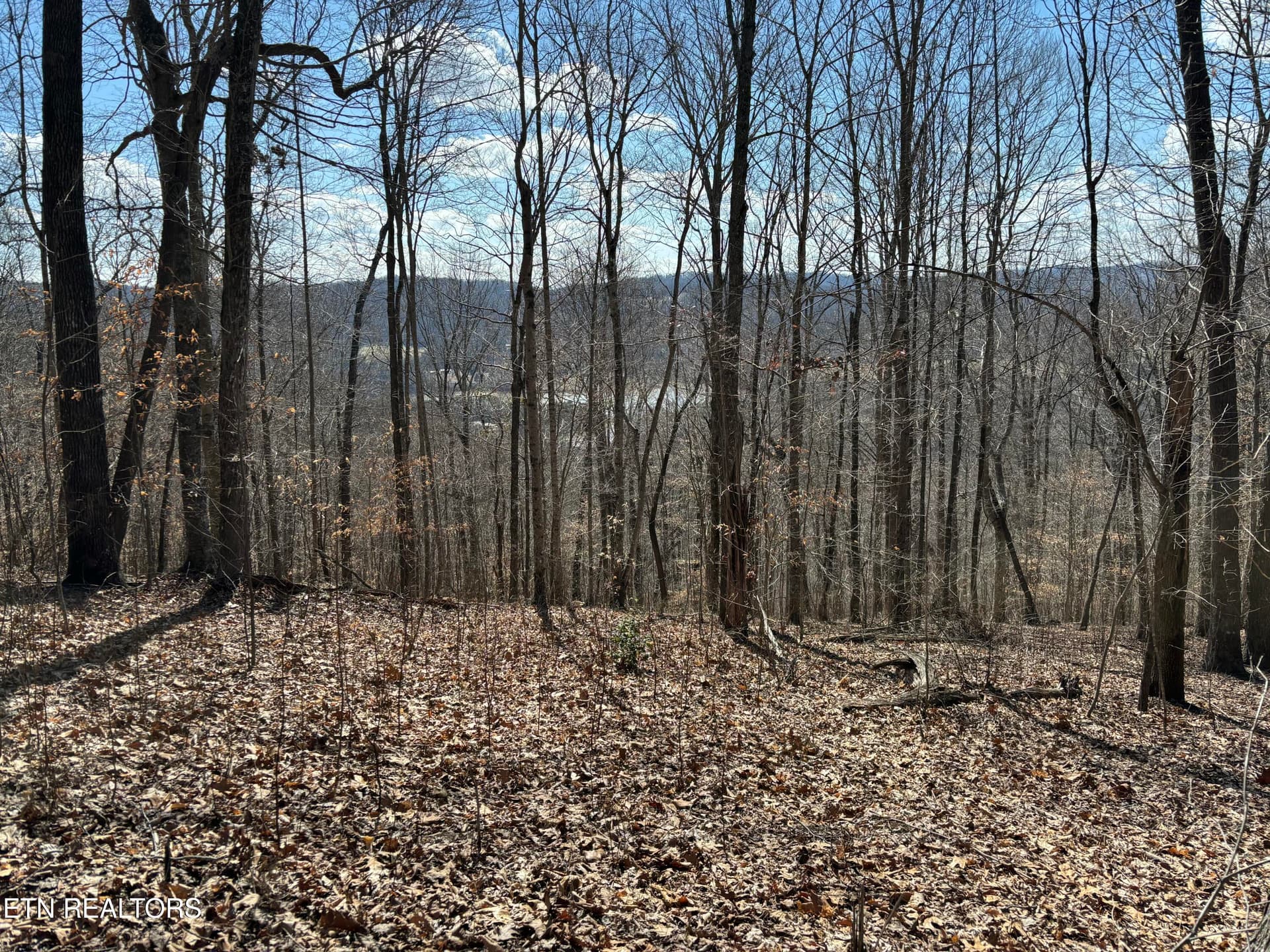 Highland Trace Rd, Sharps Chapel, TN 37866