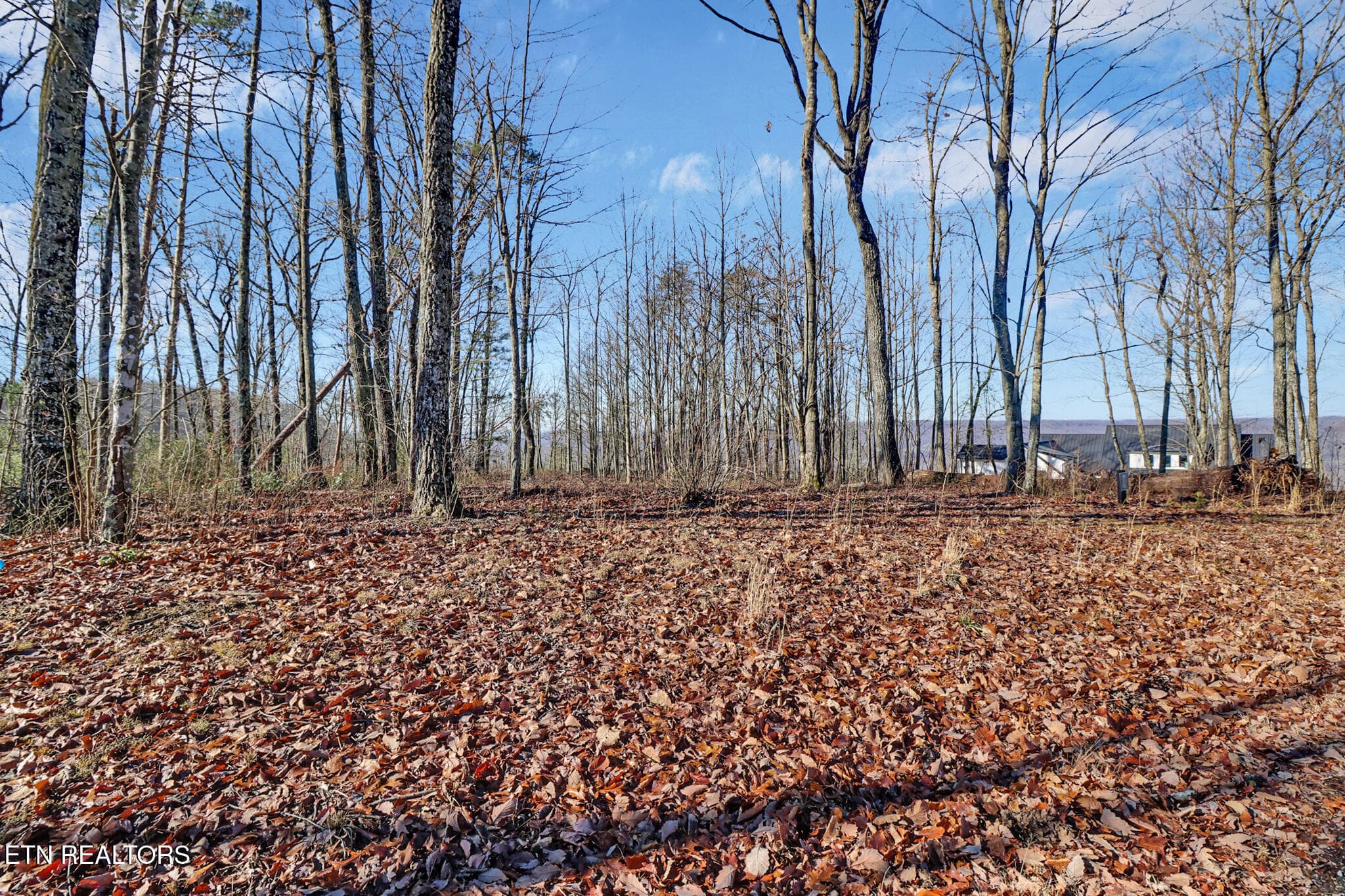 if1a8279-if1a8283 - 1309 Wind Rush Way, Monterey, TN 38574